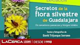 El Centro San José de la Diputación acoge la exposición ‘Secretos de la flora silvestre de Guadalajara’