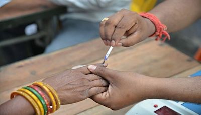 Lok Sabha Elections Phase 5: 47.53% turnout till 3 PM as voting loses initial momentum, West Bengal tops list