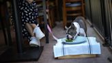 Restaurants increasingly welcoming dogs with pawgaritas, barkuterie boards