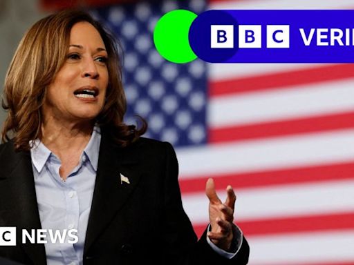 Baseless claim about Kamala Harris crash spread by mysterious site