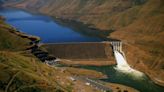 Idaho man shot at dams, spurred by ‘anti-government’ ideals. He won’t do prison time