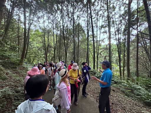 夏日大放送東勢林場邀民眾到森林旅遊 即日起至8/31當日壽星免費入園