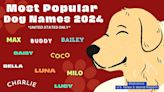 Most Popular Dog Names by State for 2024