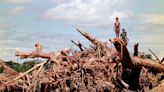 Nicaragua actualizará sus planes ante desastres naturales