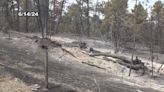 “”Creek Fire” in northeastern Wyoming contained