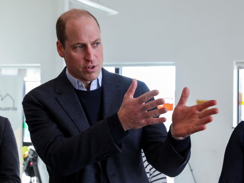 Prince William Might Be Calling for Royal Reinforcements To Add a Touch of Glamour to Engagements