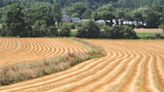 The North American Initiative to Kickstart Fiber Flax Agriculture