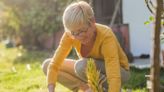 Essential garden task will help your plants grow - and it's your 'last chance'