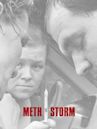 Meth Storm