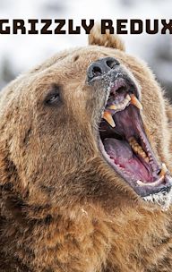 Grizzly Redux