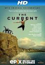 The Current: Explore the Healing Powers of the Ocean