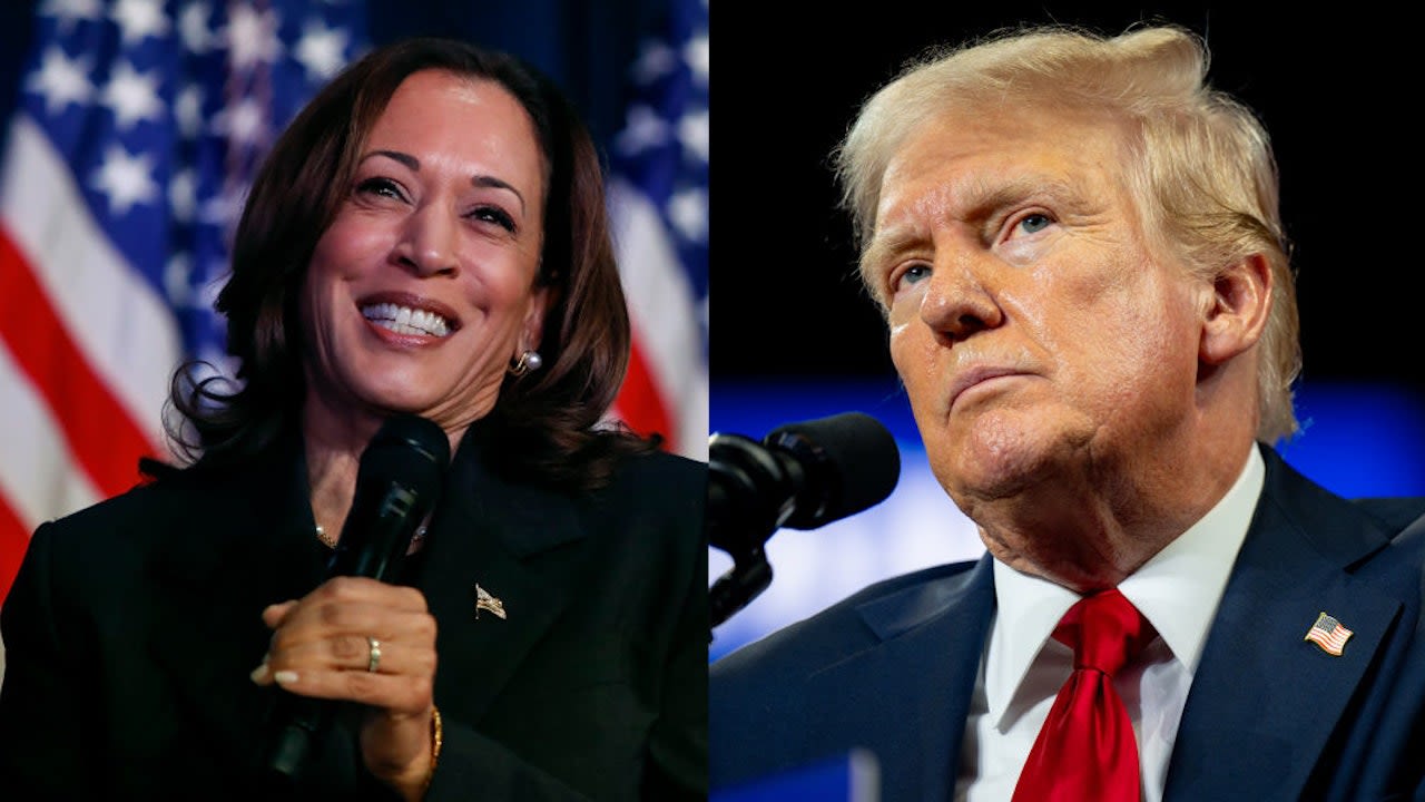 Can Kamala Harris beat Donald Trump? Initial reaction from swing states