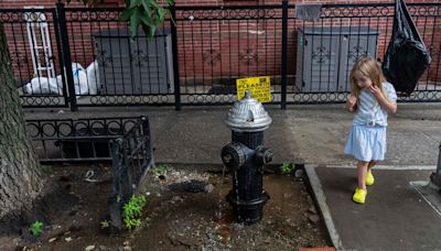 The Battle Over a Sidewalk Goldfish Pond in Brooklyn