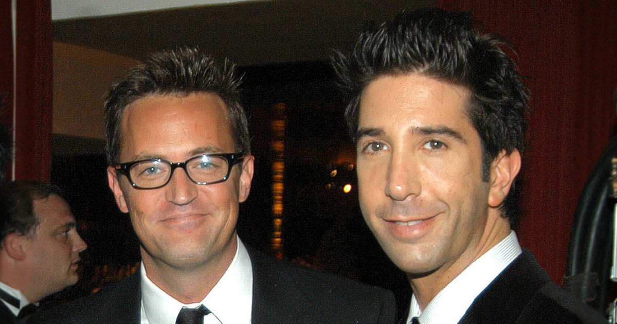 David Schwimmer Says Matthew Perry Was 'Reserved With Me'