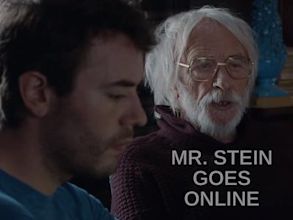 Mr. Stein Goes Online