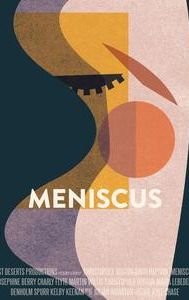 Meniscus