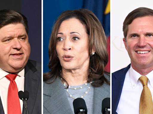 Here are the Democrats who could replace Biden on the ticket