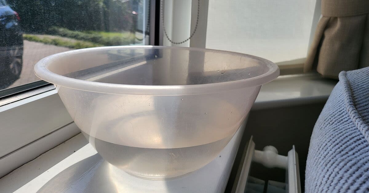 Households urged to put bowl of water on windowsill overnight