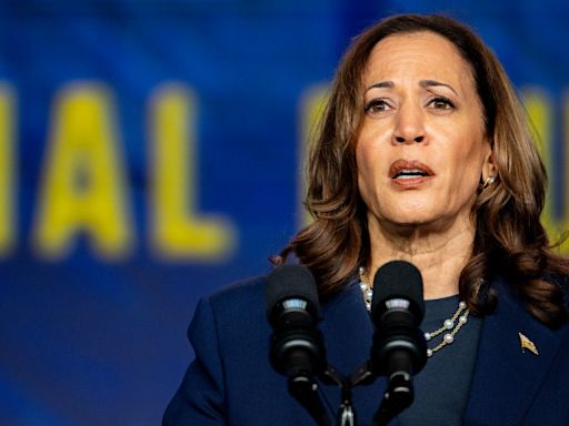 Harris blasts Trump attacks on her heritage as ‘same old show of divisiveness’ at Texas sorority event: Live