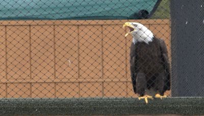 American Eagle Foundation ‘Challenger’ icon to get cataract surgery