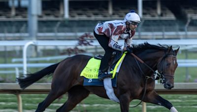 Who is going to win the 2024 Kentucky Derby? Guide to horses, odds, predictions