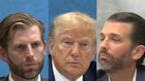 Trump's lawyers have a risky plan to call as many as 3 Trumps back to the stand at his fraud trial, starting with Donald Trump, Jr.