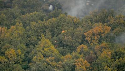 WWF alerta de fallos crónicos en el plan griego antiincendios tras el desastre del pasado verano