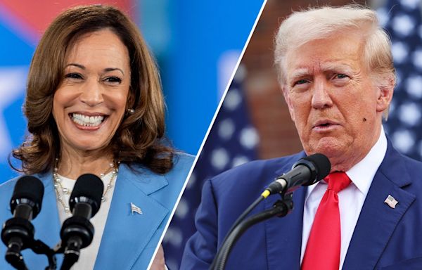 Pollster Nate Silver predicts Trump poised to win Electoral College amid 'mediocre' Harris polling