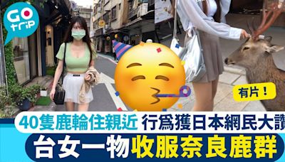 有片！台女一物收服奈良鹿群 40隻鹿輪住親近