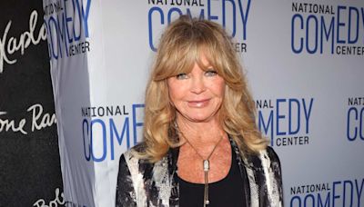 Fans Call Goldie Hawn's Lookalike Granddaughter a 'Mini Goldie' in New Photo