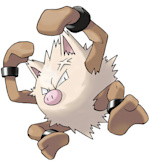 primeape.jpg