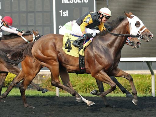 Horse racing returns to Presque Isle Downs: 5 things to know about this year's meet