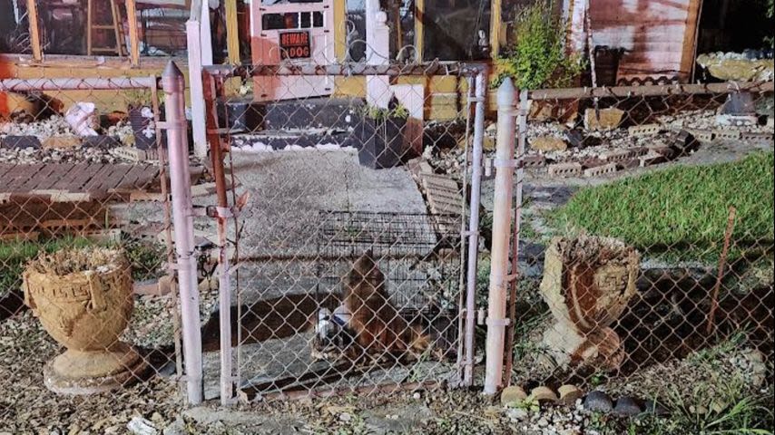 Dog rescued from late-night fire off Plank Road; investigators determining cause