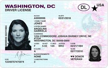 Driver's licenses in the United States