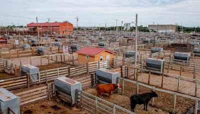 State of steak: Can one of Oklahoma's most historic professions weather modern markets?