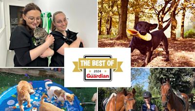 Warrington Guardian readers choose their top 12 places that are perfect for pets