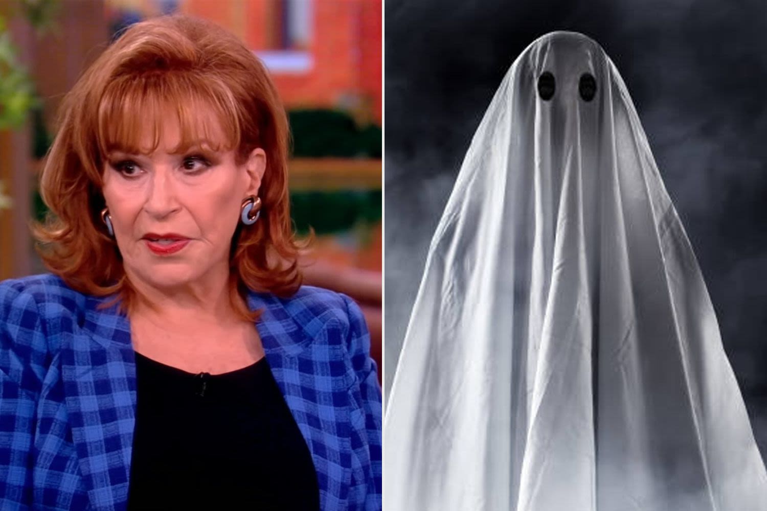 Joy Behar wants séance to consult friends for life advice: 'A lot of my friends are dead'