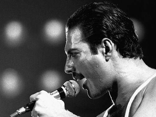 Freddie Mercury's Favorite Dish Was An Indian Classic