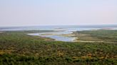 Ambientalistas de Argentina presentan una megadenuncia penal por deforestación en el Chaco