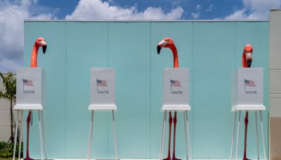 Your guide to early voting in the Florida primary: When, where and who is on the ballot