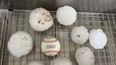 Severe weather brings DVD-size hail in Central Texas