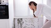 Ways to prevent mould, damp and mildew as spring-time searches for 'how to clean mould' rise 233%