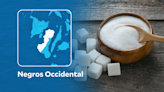 Organic sugar production in Negros Occidental down by 40%, group says