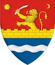 Timiș County