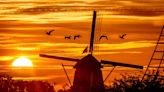 The birds are listening. What New Year's Eve fireworks do to the feathery fowls