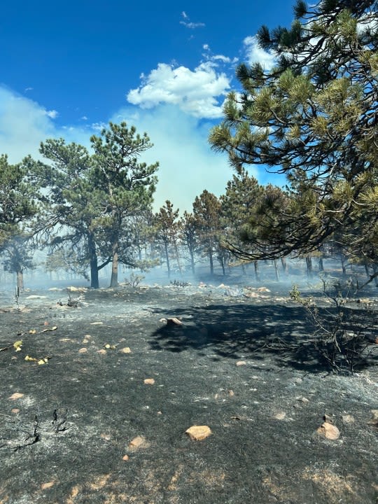 Live updates: 1 dead, 4 firefighters injured in Stone Canyon Fire near Lyons