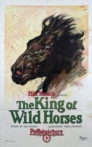 King of the Wild Horses