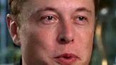 Elon Musk Apparently Bursts Into Tears With Surprising Frequency