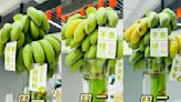「禁止蕉綠」 陸青年流行辦公室種香蕉