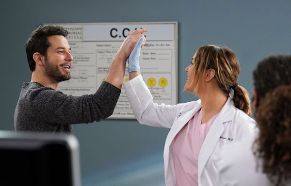 Skylar Astin praises 'Grey's Anatomy' writers for that 'sex bear' plotline